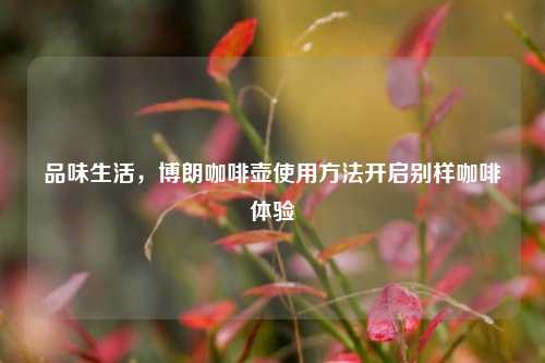 品味生活,博朗咖啡壶使用方法开启别样咖啡体验