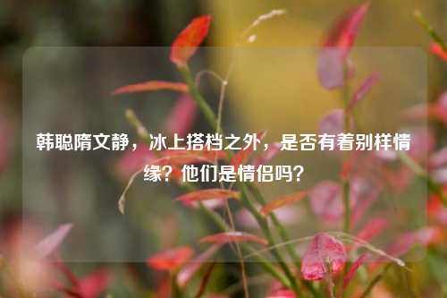 韩聪隋文静,冰上搭档之外,是否有着别样情缘?他们是情侣吗?