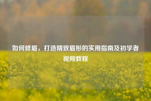 如何修眉,打造精致眉形的实用指南及初学者视频教程