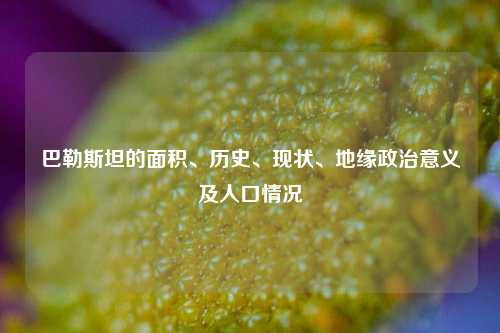 巴勒斯坦的面积、历史、现状、地缘政治意义及人口情况