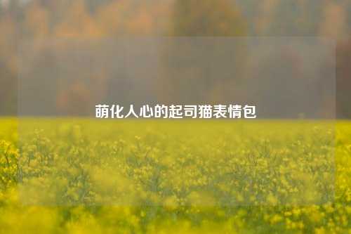 萌化人心的起司猫表情包