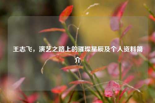 王志飞，演艺之路上的璀璨星辰及个人资料简介