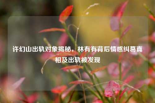 许幻山出轨对象揭秘,林有有背后情感纠葛真相及出轨被发现