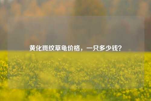 黄化斑纹草龟价格，一只多少钱？
