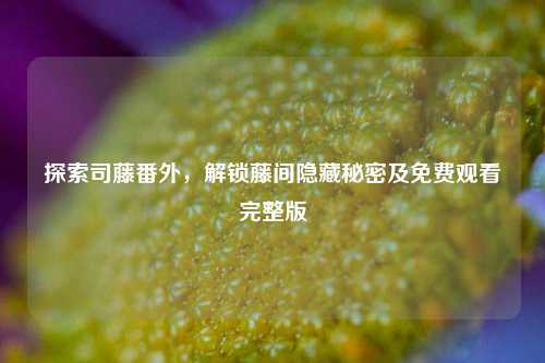 探索司藤番外，解锁藤间隐藏秘密及免费观看完整版