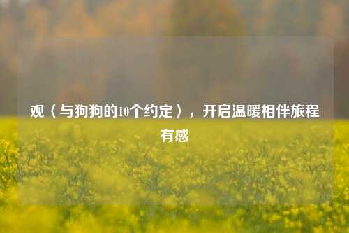 观〈与狗狗的10个约定〉,开启温暖相伴旅程有感