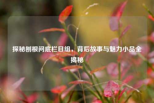 探秘刨根问底栏目组,背后故事与魅力小品全揭秘