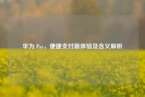 华为 Pay,便捷支付新体验及含义解析