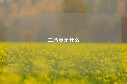 二恶英是什么
