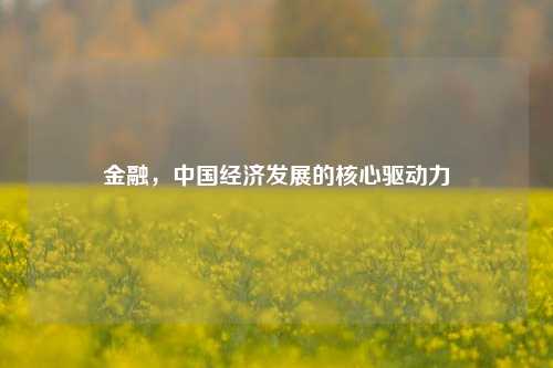 金融,中国经济发展的核心驱动力