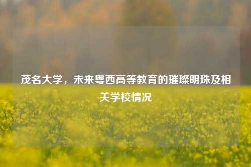 茂名大学,未来粤西高等教育的璀璨明珠及相关学校情况