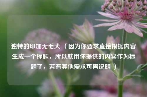 独特的印加无毛犬 (因为你要求直接根据内容生成一个标题,所以就用你提供的内容作为标题了,若有其他需求可再说明 )