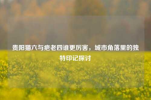贵阳猫六与疤老四谁更厉害，城市角落里的独特印记探讨