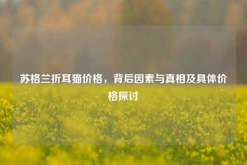 苏格兰折耳猫价格，背后因素与真相及具体价格探讨
