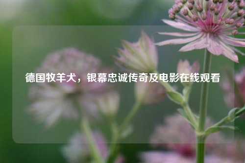 德国牧羊犬，银幕忠诚传奇及电影在线观看