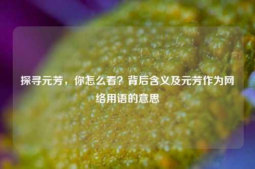 探寻元芳,你怎么看?背后含义及元芳作为网络用语的意思