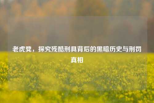 老虎凳,探究残酷刑具背后的黑暗历史与刑罚真相