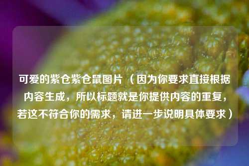 可爱的紫仓紫仓鼠图片 （因为你要求直接根据内容生成，所以标题就是你提供内容的重复，若这不符合你的需求，请进一步说明具体要求）