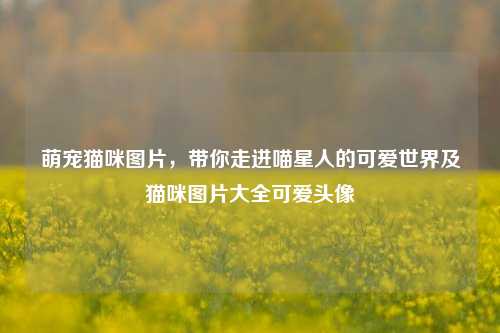 萌宠猫咪图片,带你走进喵星人的可爱世界及猫咪图片大全可爱头像