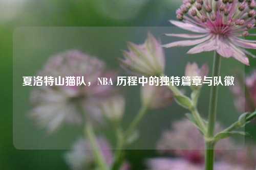 夏洛特山猫队,NBA 历程中的独特篇章与队徽