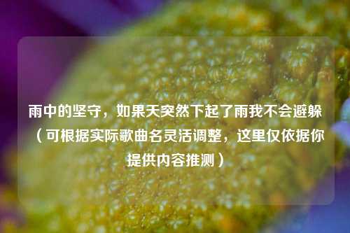雨中的坚守,如果天突然下起了雨我不会避躲(可根据实际歌曲名灵活调整,这里仅依据你提供内容推测)
