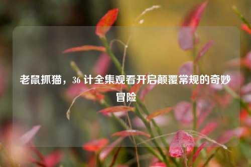 老鼠抓猫,36 计全集观看开启颠覆常规的奇妙冒险