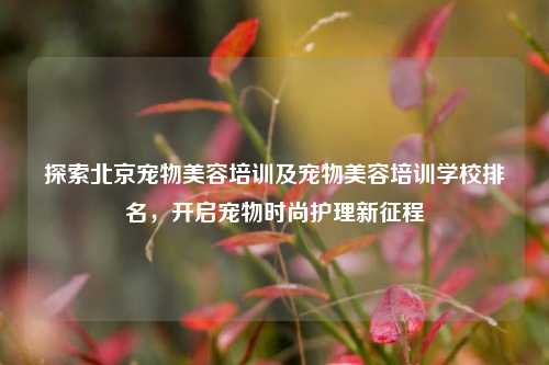 探索北京宠物美容培训及宠物美容培训学校排名,开启宠物时尚护理新征程