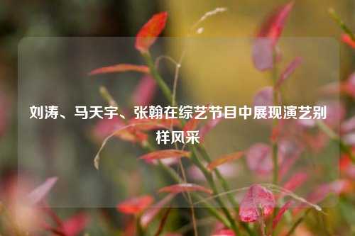 刘涛、马天宇、张翰在综艺节目中展现演艺别样风采