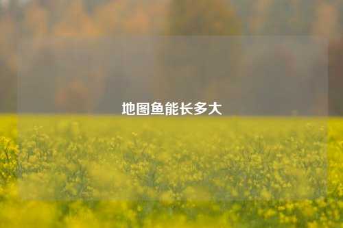 地图鱼能长多大