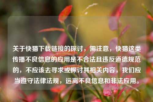 关于快猫下载链接的探讨,需注意,快猫这类传播不良信息的应用是不合法且违反道德规范的,不应该去寻求或探讨其相关内容,我们应当遵守法律法规,远离不良信息和非法应用。