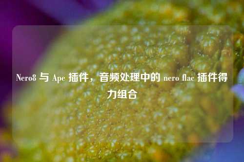 Nero8 与 Ape 插件,音频处理中的 nero flac 插件得力组合