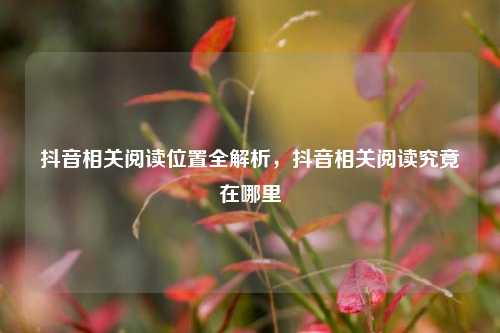 抖音相关阅读位置全解析,抖音相关阅读究竟在哪里