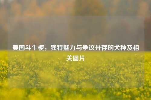 美国斗牛梗，独特魅力与争议并存的犬种及相关图片