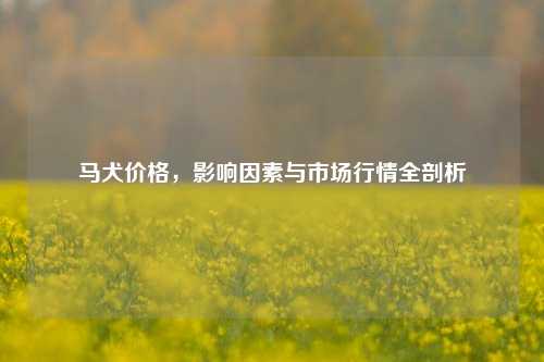 马犬价格，影响因素与市场行情全剖析