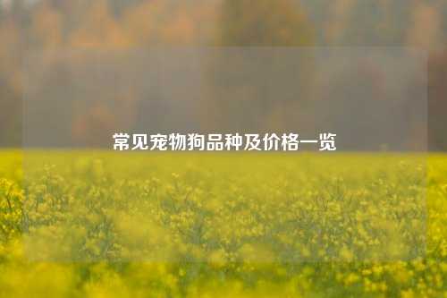 常见宠物狗品种及价格一览