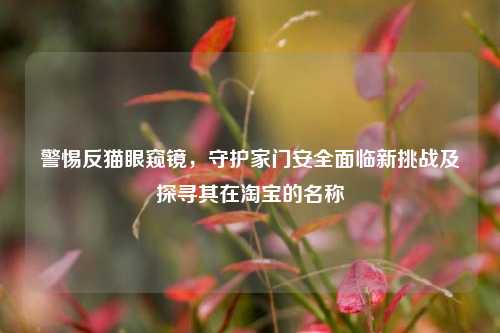 警惕反猫眼窥镜,守护家门安全面临新挑战及探寻其在淘宝的名称