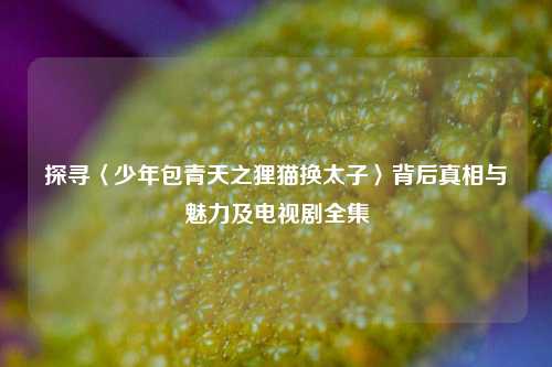 探寻〈少年包青天之狸猫换太子〉背后真相与魅力及电视剧全集
