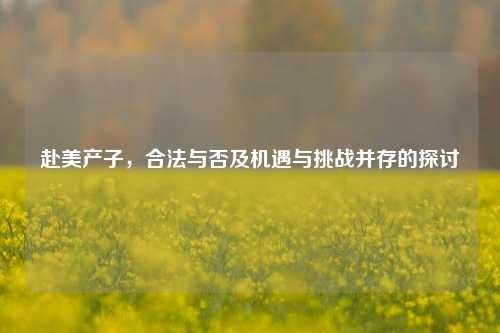 赴美产子,合法与否及机遇与挑战并存的探讨