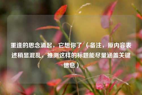 重逢的思念涌起,它想你了 (备注,原内容表述稍显混乱,推测这样的标题能尽量涵盖关键信息)