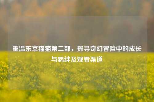 重温东京猫猫第二部,探寻奇幻冒险中的成长与羁绊及观看渠道