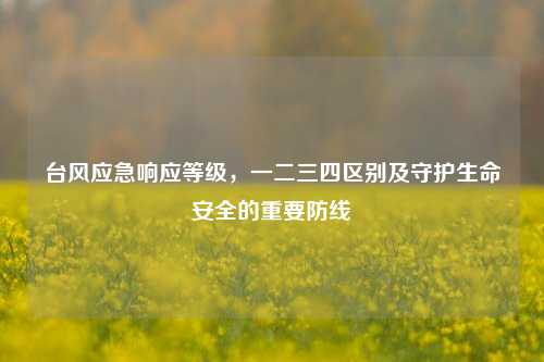 台风应急响应等级,一二三四区别及守护生命安全的重要防线