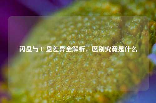 闪盘与 U 盘差异全解析,区别究竟是什么
