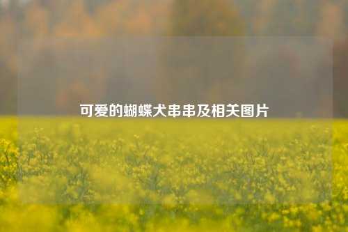 可爱的蝴蝶犬串串及相关图片