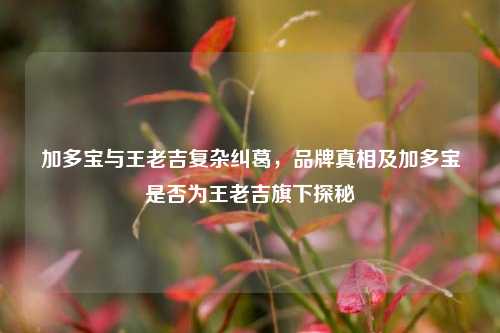 加多宝与王老吉复杂纠葛，品牌真相及加多宝是否为王老吉旗下探秘