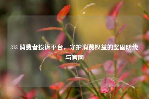 315 消费者投诉平台,守护消费权益的坚固防线与官网