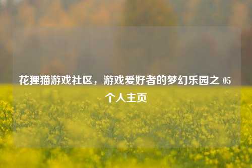 花狸猫游戏社区,游戏爱好者的梦幻乐园之 05 个人主页