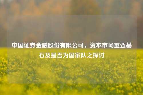 中国证券金融股份有限公司,资本市场重要基石及是否为国家队之探讨