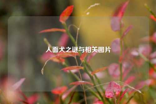 人面犬之谜与相关图片