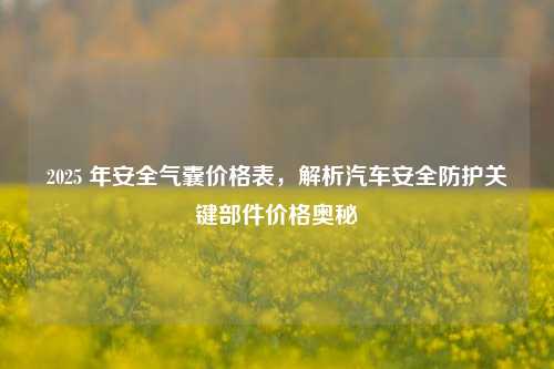2025 年安全气囊价格表,解析汽车安全防护关键部件价格奥秘