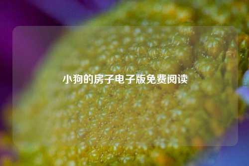 小狗的房子电子版免费阅读